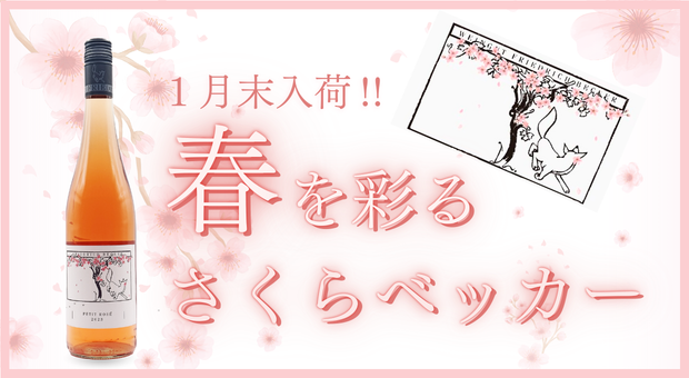 【今年も入荷！】春を呼ぶロゼワイン「さくらベッカー2024」のご案内