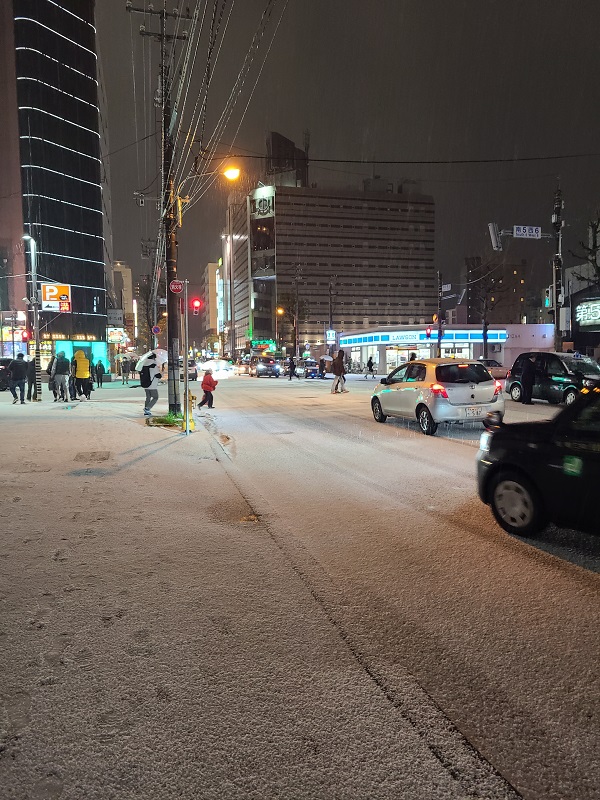 すすきの雪景色.jpg