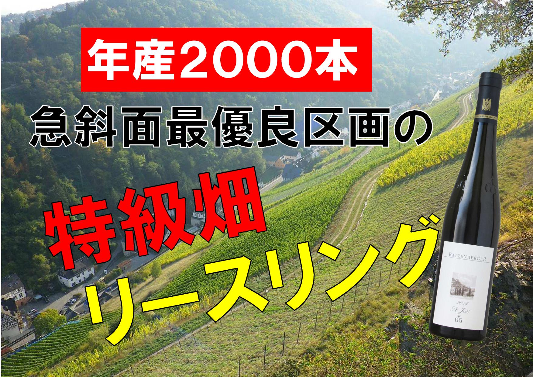 シュティーガー ザンクトヨースト リースリング GG - ヘレンベルガー 
