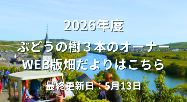 ２０２６年ぶどうの樹３本のオーナー