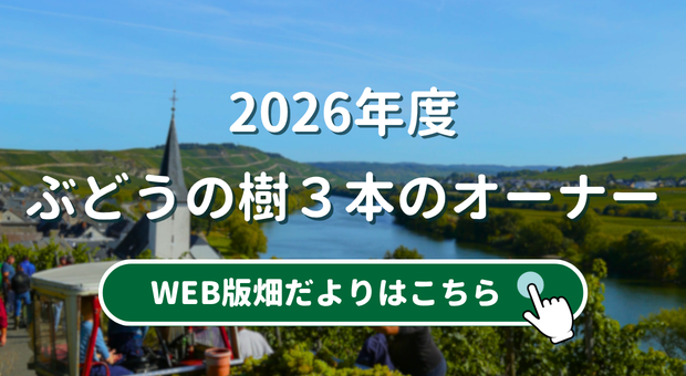 ２０２６年ぶどうの樹３本のオーナー