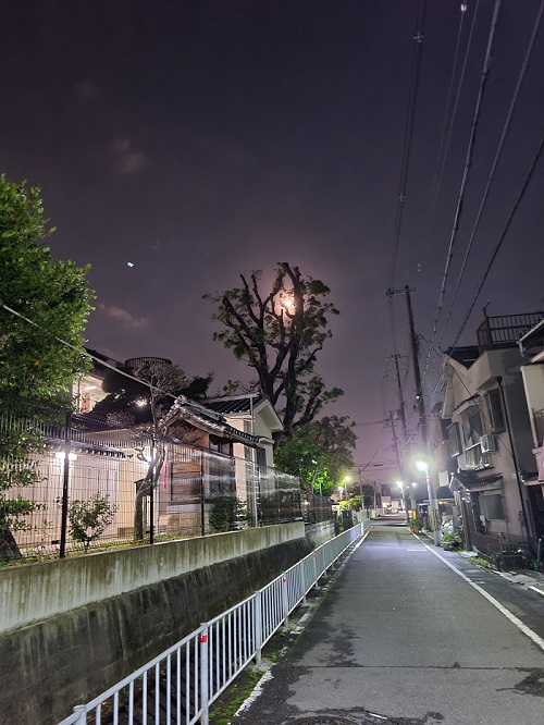 近所夜景.jpg