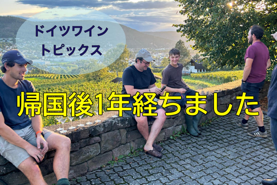 【ドイツワイントピックス】帰国後１年経ちました