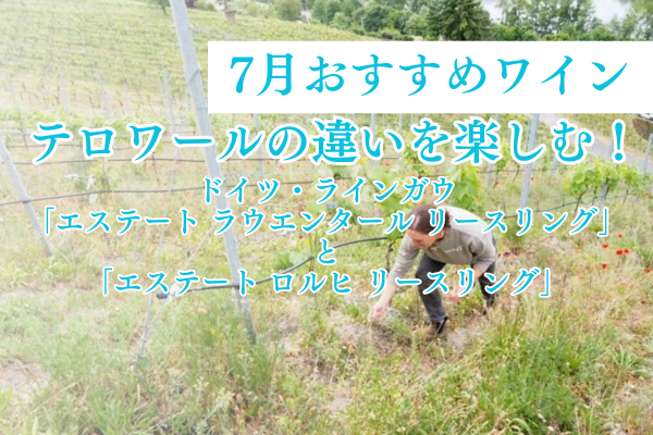 テロワールの違いを楽しむ！ドイツ・ラインガウの「エステート ラウエンタール リースリング」と「エステート ロルヒ リースリング」