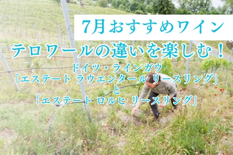 ワイン検索|ドイツワインの輸入卸‐ヘレンベルガー・ホーフ株式会社