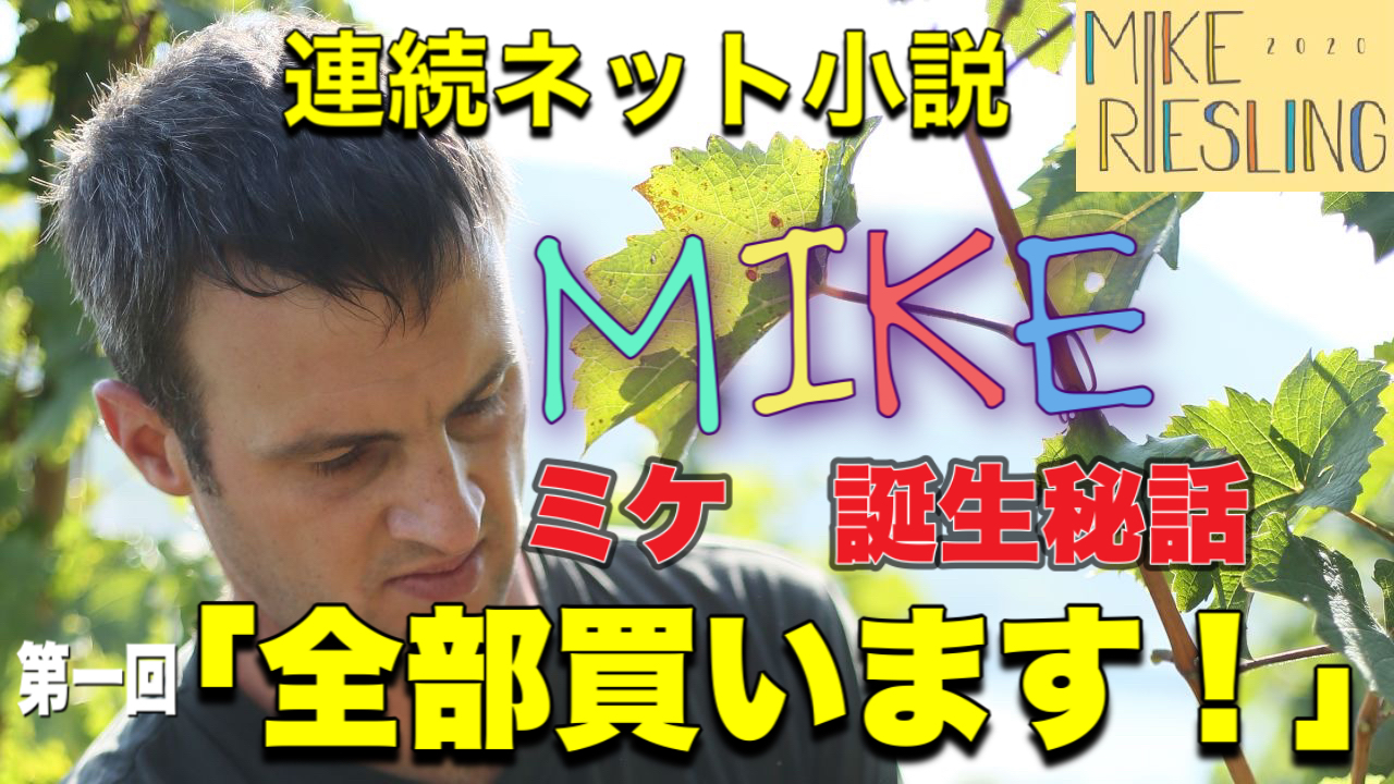 連続ネット小説【MIKE　ミケ　誕生秘話】　～忘れ物をさがしにきました～