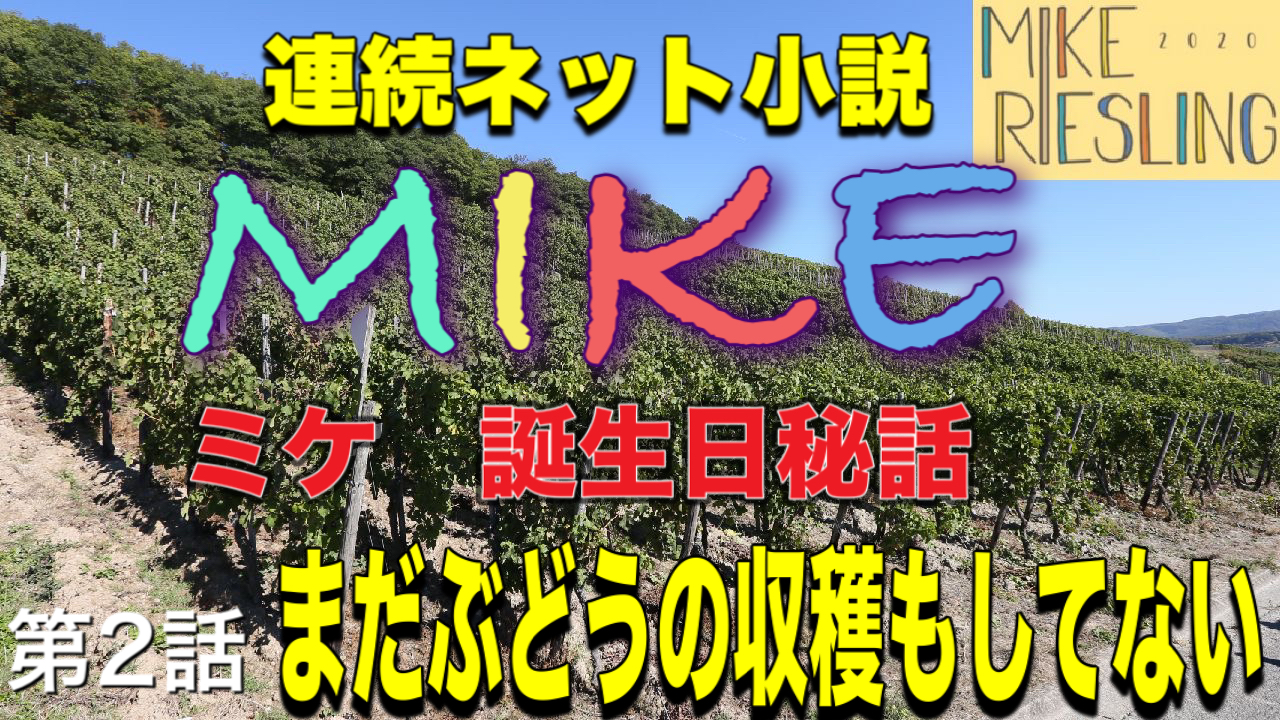 連続ネット小説　第2話【MIKE ミケ　誕生秘話】～わすれものをさがしにきました～