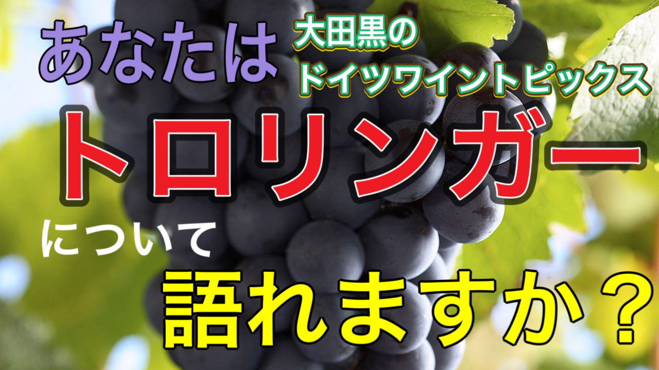 ヘレンベルガー・ホーフ株式会社‐ドイツワインの輸入卸