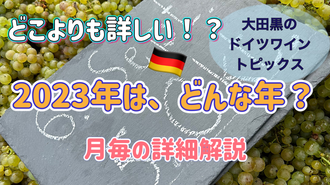 大田黒のドイツ滞在記vol.8~「2023年のドイツワインはどんな年？」~