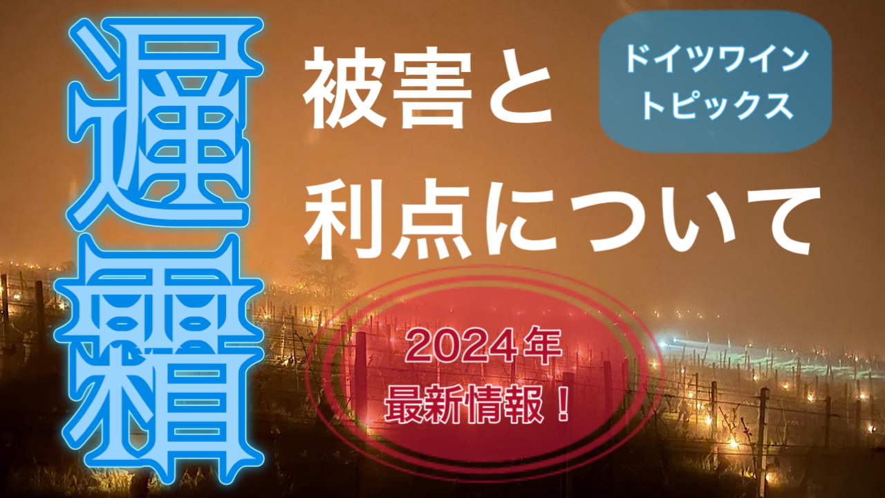 2024年ドイツワイン生産地を襲った遅霜害と利点について