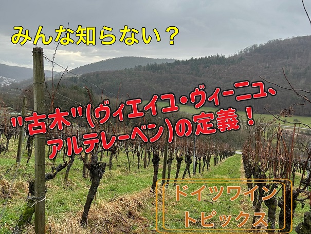 みんな知らない？”古木” アルテレーベンの定義！！