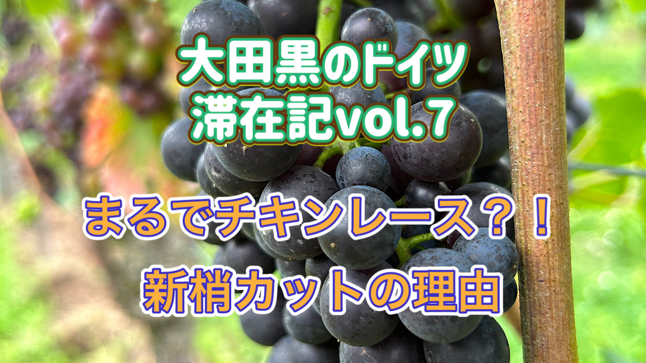 ヘレンベルガー・ホーフ株式会社‐ドイツワインの輸入卸