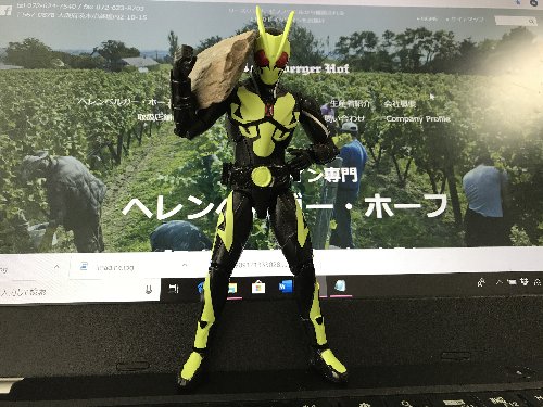 息子（＋私）仮面ライダー入門