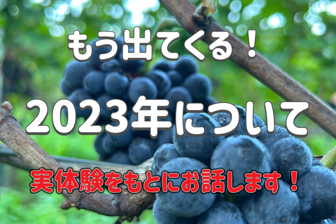【ドイツワイントピックス】もう出てくる！２０２３年ヴィンテージについて