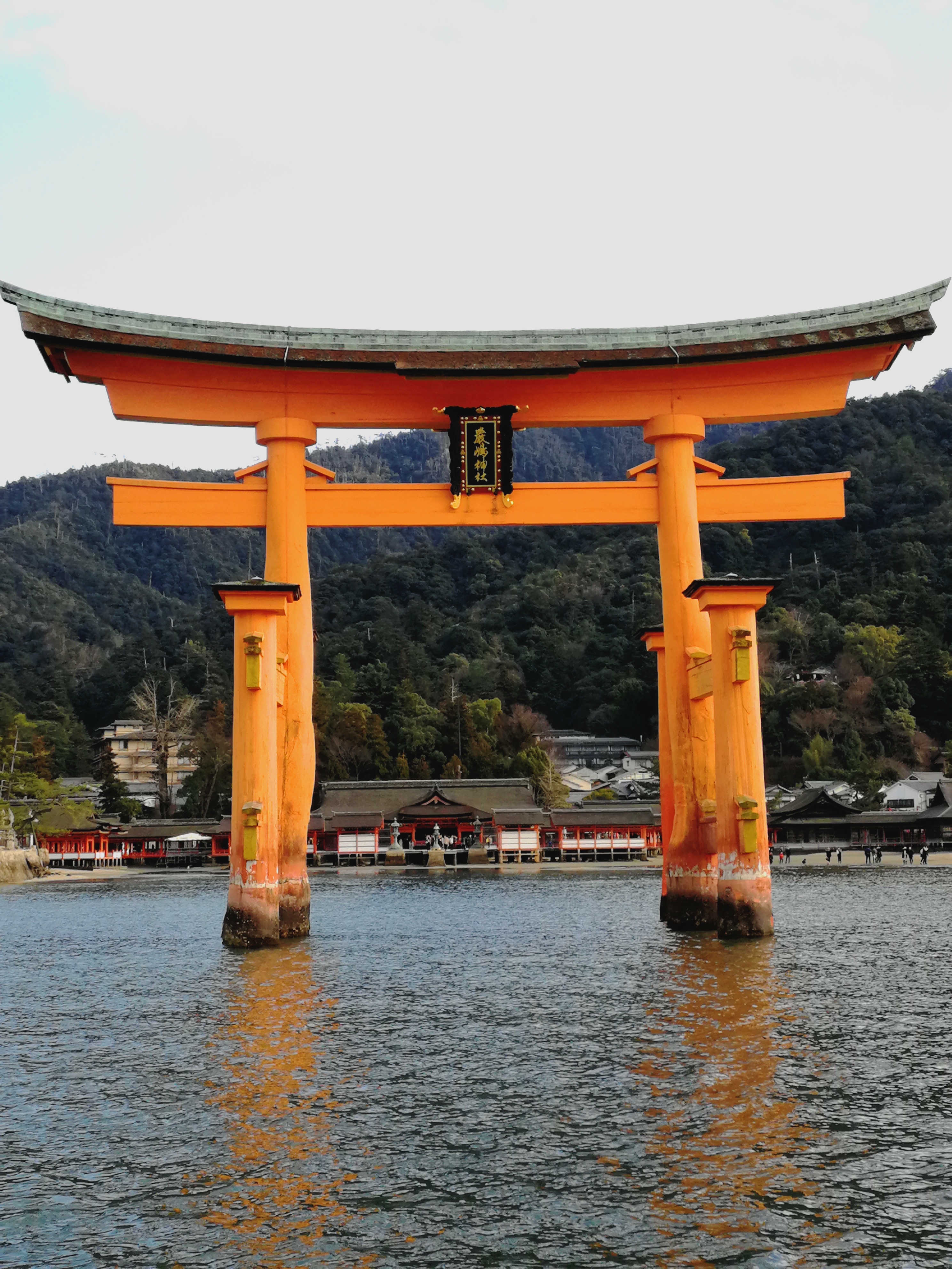 IMG_miyajima.jpg