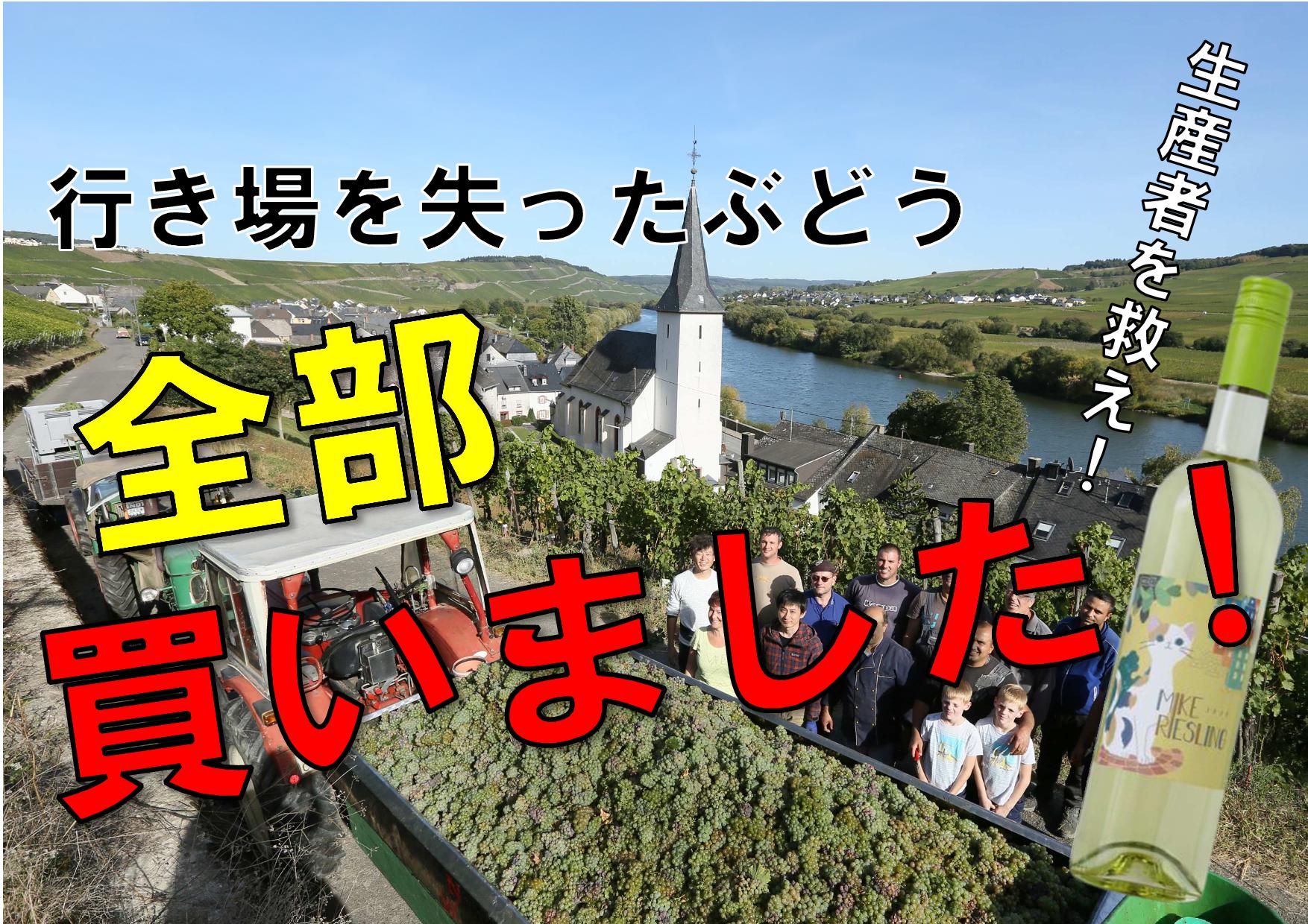 ヘレンベルガー・ホーフ株式会社‐ドイツワインの輸入卸