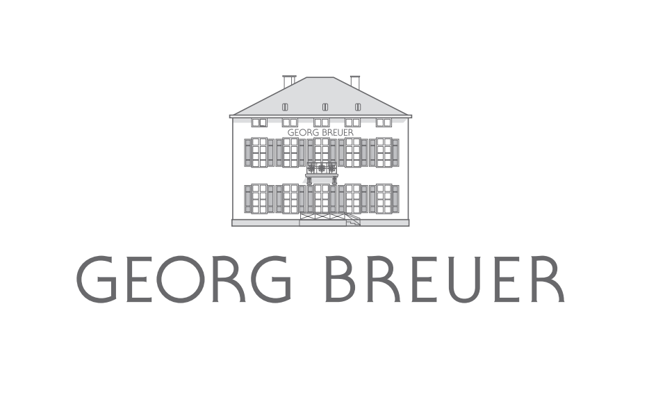 訳あり品送料無料 リューデスハイム ベルク ローゼンエック リースリング 2015 ゲオルク ブロイヤー Rudesheim Berg  Roseneck Riesling Georg Breuer 白ワイン ドイツ ラインガウ