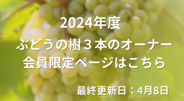 ２０２４年ぶどうの樹３本のオーナー