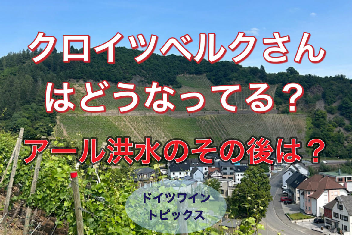 【ドイツワイントピックス】ドイツ　アール渓谷洪水災害のその後について