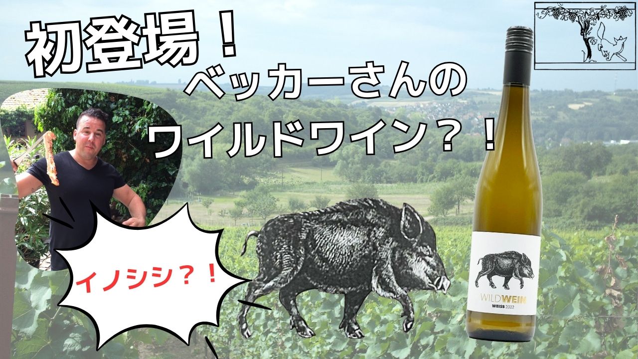 【初登場！】ベッカーさんのワイルドワイン？？