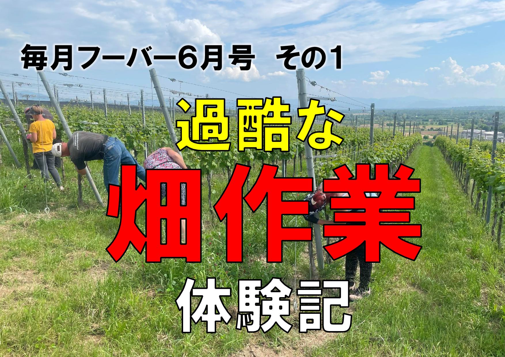 ヘレンベルガー・ホーフ株式会社‐ドイツワインの輸入卸