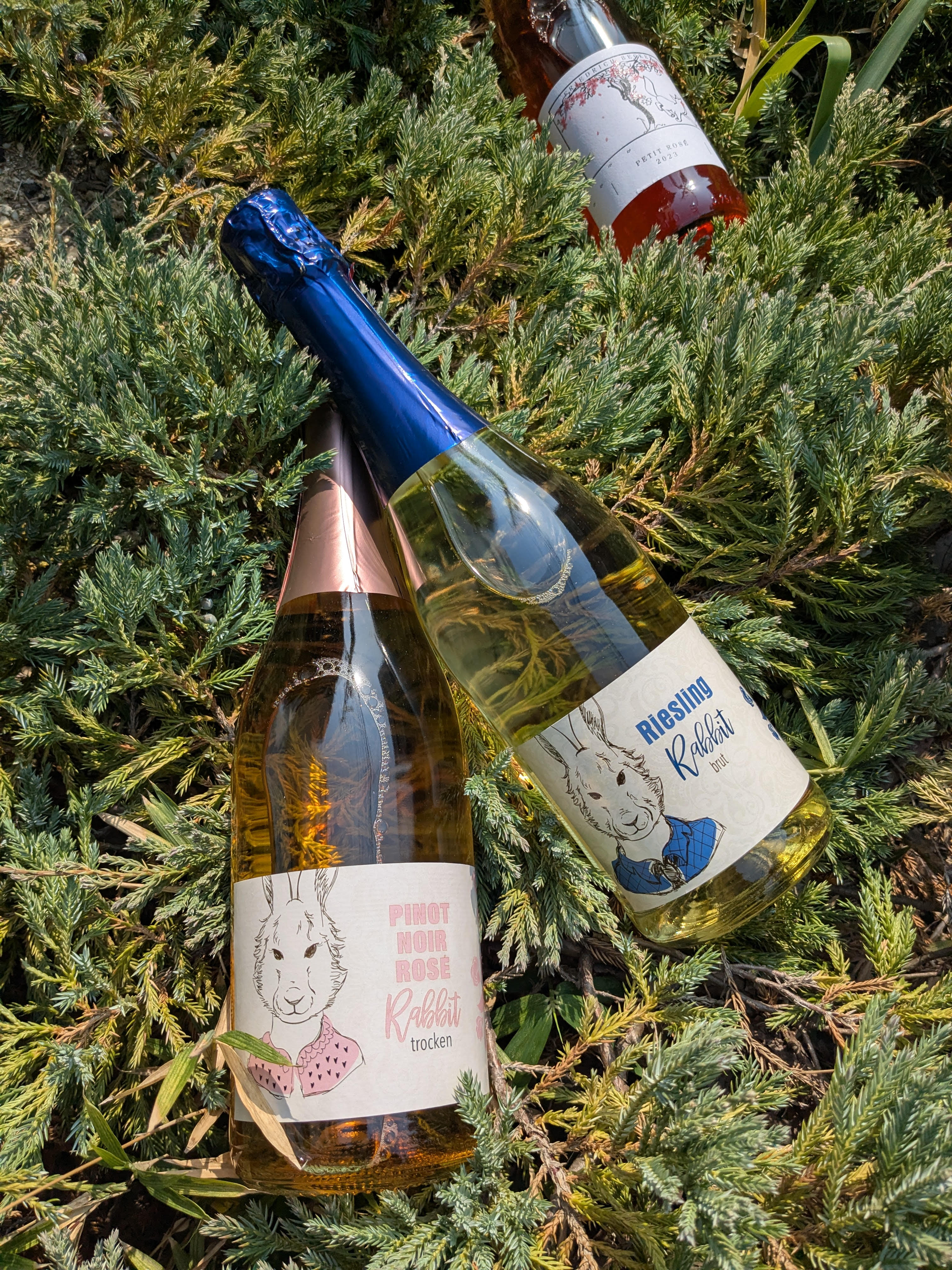 ドイツワイン8月末限定 ドイツワイン8月末限定 ドイツワイン8月末限定 ドイツワイン8月末限定